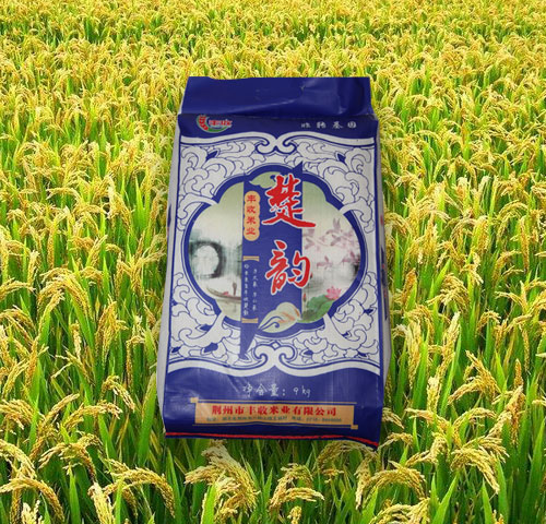 上海楚韻