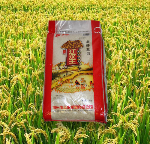 上海江漢王